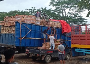 Ekspedisi jakarta balikpapan