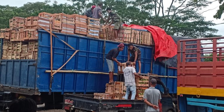 Ekspedisi jakarta balikpapan